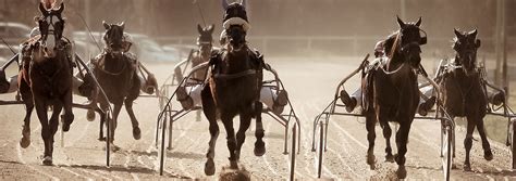 paralympiatravet odds|Paralympiatravet – Wikipedia.
